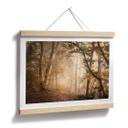 Póster Bosque en la niebla matinal - Maier