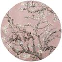 Fototapet - Rundt van Gogh - Mandelblomst rosé - vliesetapet/selvklæbende non-woven tapet