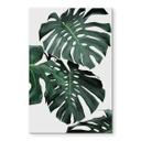 Glasschilderij Sisi & Seb - Monstera