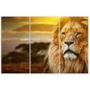 3 stykke lærredstryk, Lion Africa Savannah Landscape
