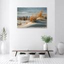 Canvasbillede, Klitter ved havet