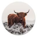 Vægcirkel van den Helm - Highlander – print på aluminium (Alu-Dibond)