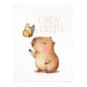 Plakat til børneværelset - Capybara med sommerfugl - Capy Diem