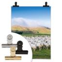 Póster Colombo - Rebaño de ovejas en Nueva Zelanda