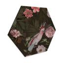 Hexagon - UN Designs - I troperne