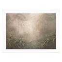 Poster Mystiek regenwoud in de mist - Ms Tiff