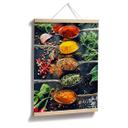 Póster sobre la diversidad de las plantas 01
