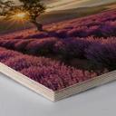 Hexagon Hout Lavendel in de Provence