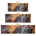 Revêtement pour cuisine - Alu-Dibond - Raisin en automne - Argenté