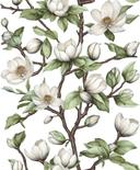 Papel pintado no tejido ramas, flores naturaleza floral blanco verde