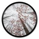 Póster copas de árboles con hojas rojas - Póster bosque redondo - Coman