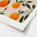 Plakat Boho-appelsintræ - Citrus Sinensis - Tunaboylu