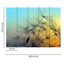 Ikke-vævet tapet FlyingDandelion natur mælkebøtte foto tapet Designwalls i blå og sort 