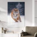 Akrylbillede Sibirisk tiger i sneen - van Duijn