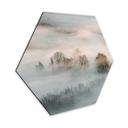 Hexagon Dibond Galimberti - Winter Fog