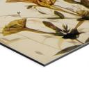 Fototapet Vilde engblomster i sollyset - Talen - Panorama – print på aluminium (Alu-Dibond)