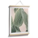 Plakat Calathea-plante - Sisi & Seb