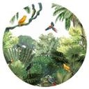 Sticker mural Kikki Belle - Oiseaux tropicaux - Rond