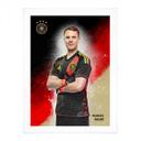 Póster, Cuadro DFB Neuer