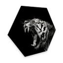 Hexagone - alu-Dibond Meermann - Le tigre