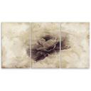 3-delt lærredsprint, Rose Flower Vintage Beige