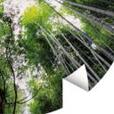Fototapet - Rundt Hugonnard - Skov i Japan - vliesetapet/selvklæbende non-woven tapet