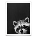 Póster Graves - Racoon