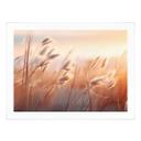 Póster Hierba de las dunas al sol del atardecer - Treechild