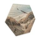 Hexagone - Bois Découverte de la nature dans les pittoresques dunes de la Baltique
