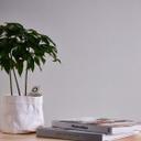 Non-woven tapet grå slät monokrom tapet modern enhet tapet tyg look A.S. Création