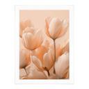 Póster de tulipanes color melocotón - Treechild