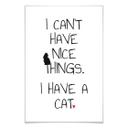 Poster - I can't have nice Things - Cat