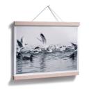 Póster gaviotas