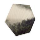 Hexagon Hout Nevel in het Bos 02