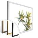 Póster - Palmeras 05