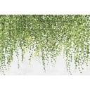 Livingwalls Fototapet Walls by Patel 2 hanging garden 1