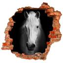 3D Muursticker Wit Paard