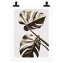 Póster 1X Studio - Golden Monstera