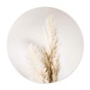 Plakat 1X Studio - Pampas