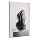 Lienzo Valevicius - Sensual escultura de una espalda femenina