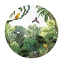Póster Kikki Belle - Pájaros tropicales - Redondo