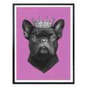 Plakat - Korenkova - King French Bulldog Pink