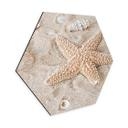 Hexagone - alu-Dibond Poisson-étoile dans la plage dorée