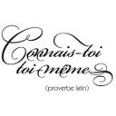 Sticker mural - Connais-toi toi-même