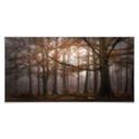 Póster Dingemans - Niebla en el bosque de otoño - Panorama