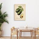 Canvasbillede, frugthøst avocado
