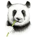 Sticker mural Kvilis - Un panda mâche du bambou