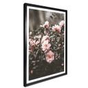 Plakat - Annie - Rose bush