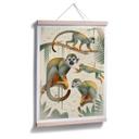 Póster Marrón - Monos ardilla