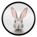 Plakat Sisi & Seb - Bunny